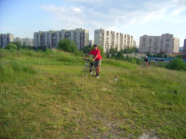 Photograph