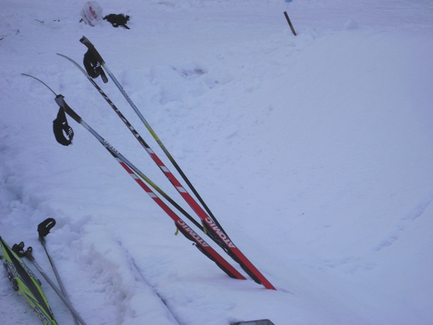 DSC05295ы - копия.jpg