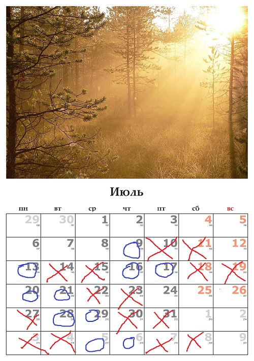трени.jpg