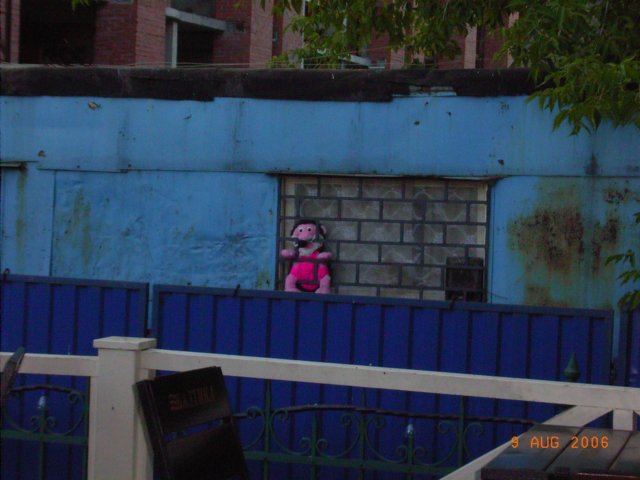 rimg0316.jpg