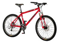 Bianchi Superbee 2001